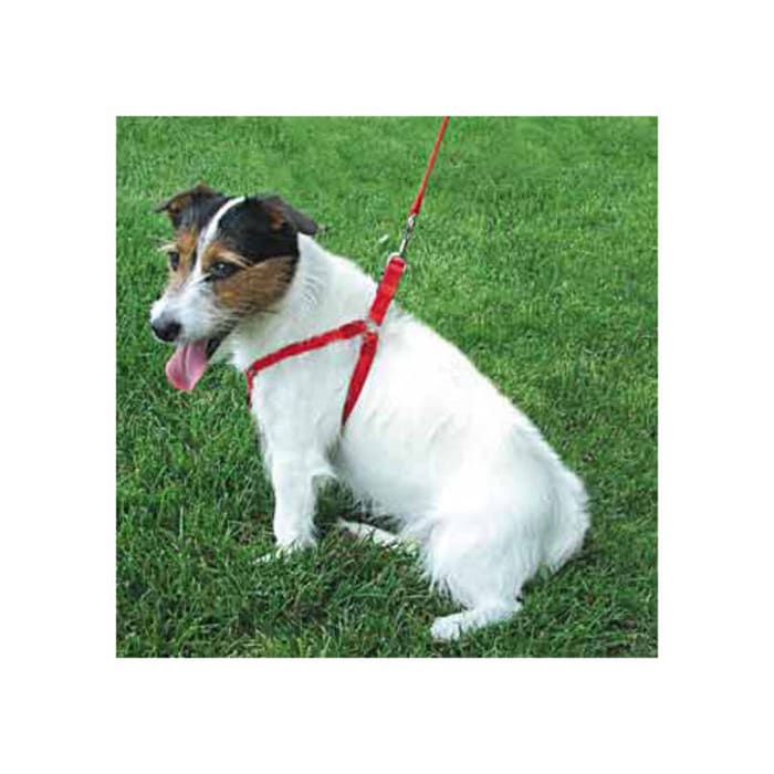 Comfort Wrap Harness RED XS 18"