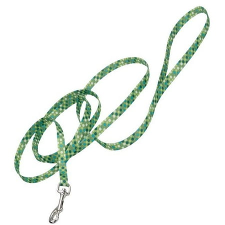 Styles Leash Blu/Org/Grn 6'x5/8"
