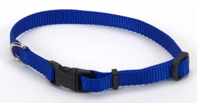 Coastal PL Buckle Collar Blue XS