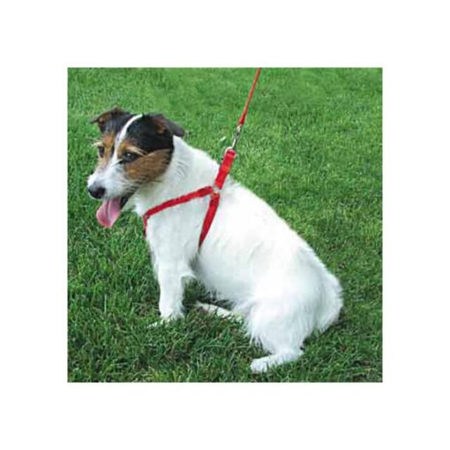 Comfort Wrap Harness RED LG 38"