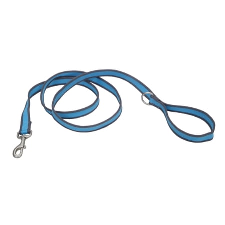 Pro Reflective Leash Blue 6x3/4"