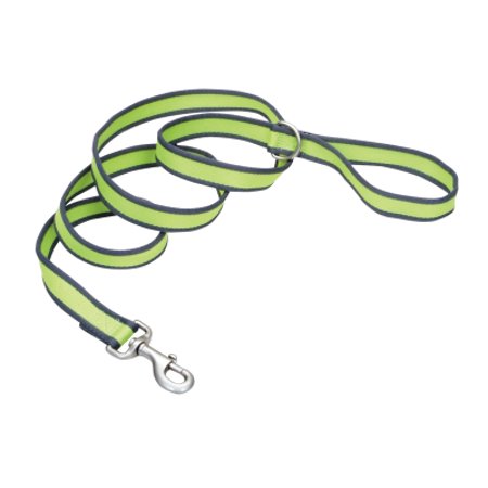 Pro Reflective Leash Green 6x3/4