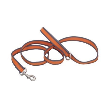 Pro Reflective Leash Orange 6x1