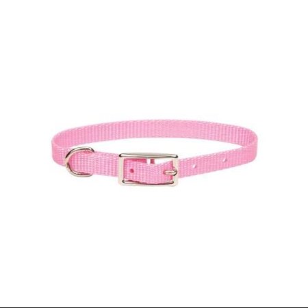 Coastal Collar PKB 10"