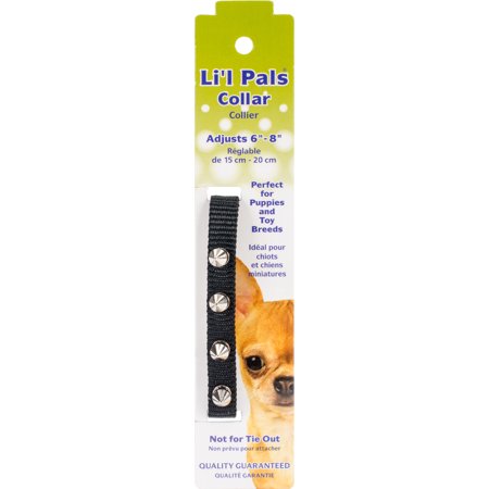 Lil Pals Collar BLK Spikes P/XS