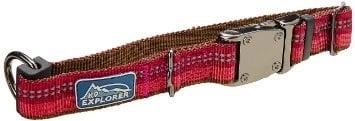 K9 Explorer Collar BRY14