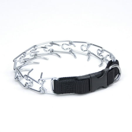 Titan Prong Collar+Buckle SM 14"