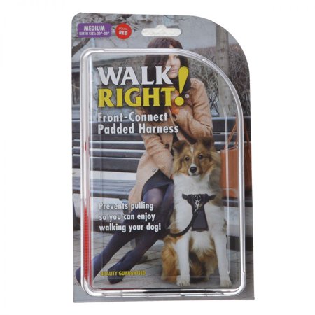 Walk Right! Harness Red Med