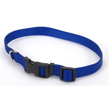 Coastal PL Buckle Collar BLU MD