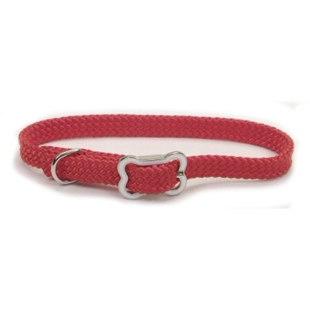 Sunburst Collar w/ Bone