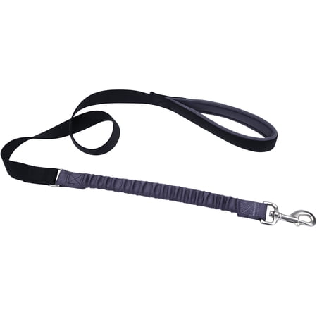 Coastal Bungee Leash Black 4'