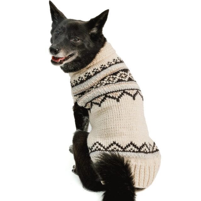 Chilly Dog Cream WyattSweater SM
