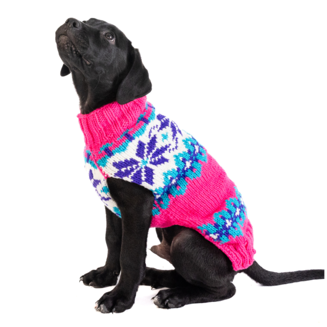 Chilly Dog Elsa Sweater LG
