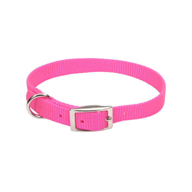 Coastal Collar Neon Pink 12"