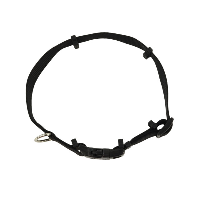Hide-Away Collar Blue Bone LG