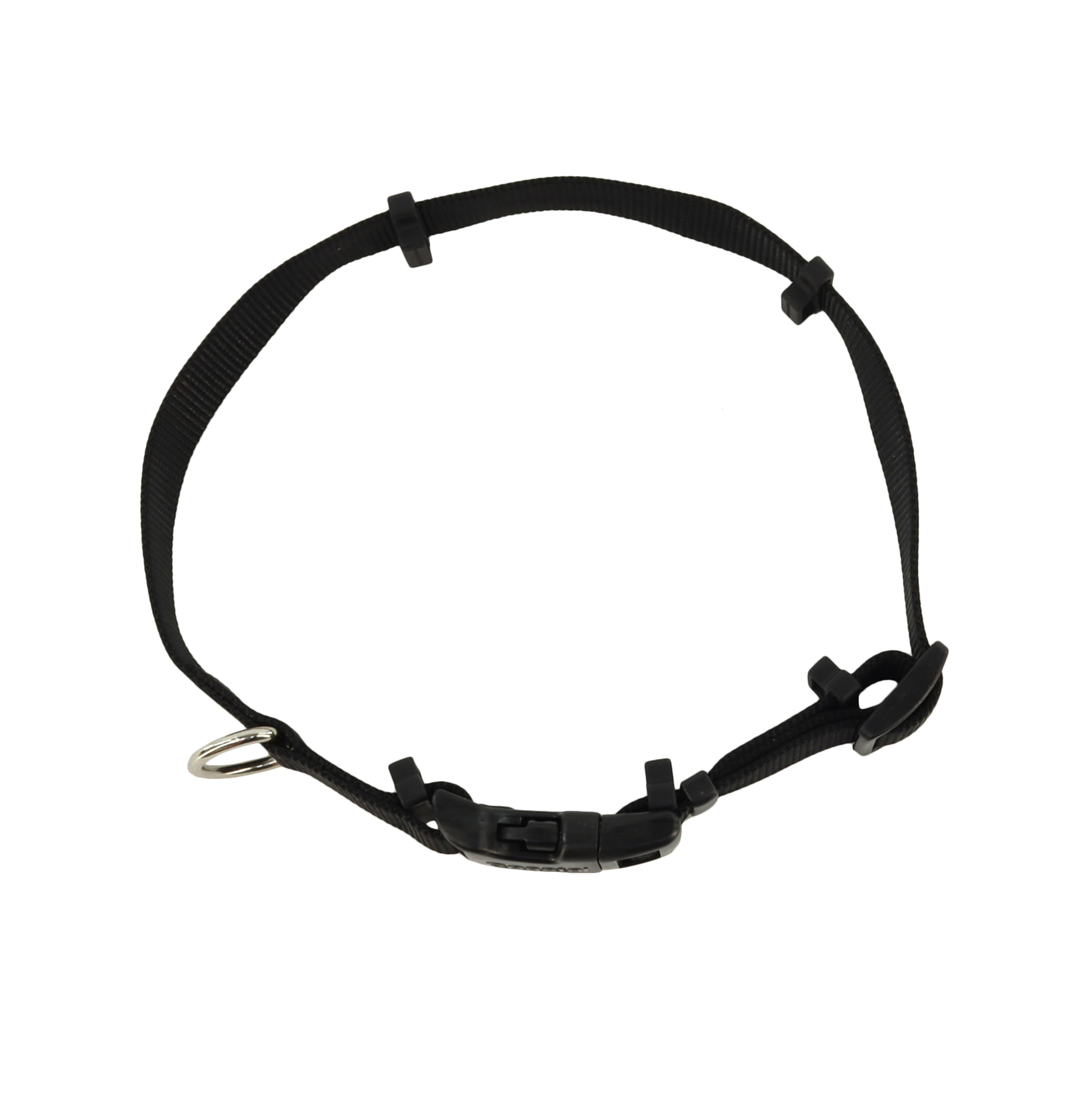 Hide-Away Collar Blue Bone LG