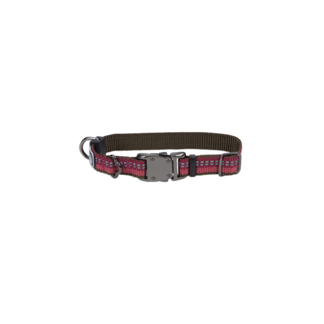 K9 Explorer Collar BRY12"