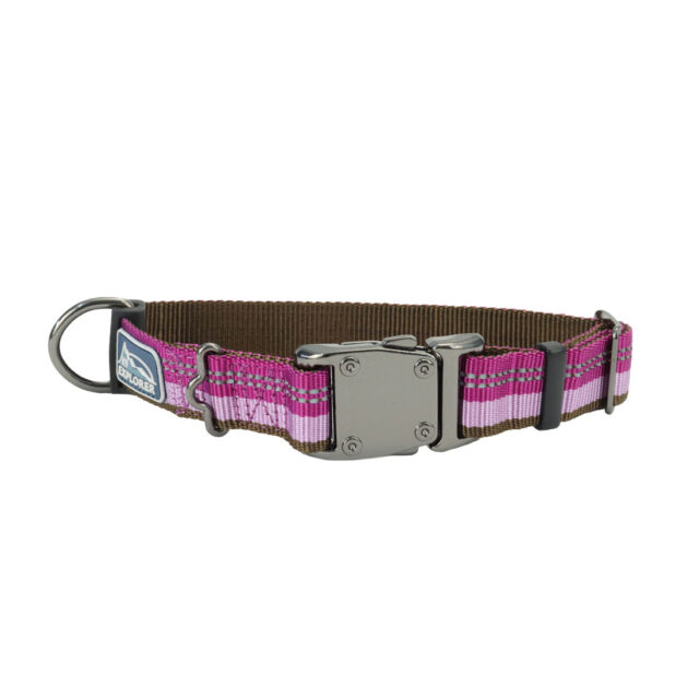 K9 Explorer Collar ORD S/M 18"