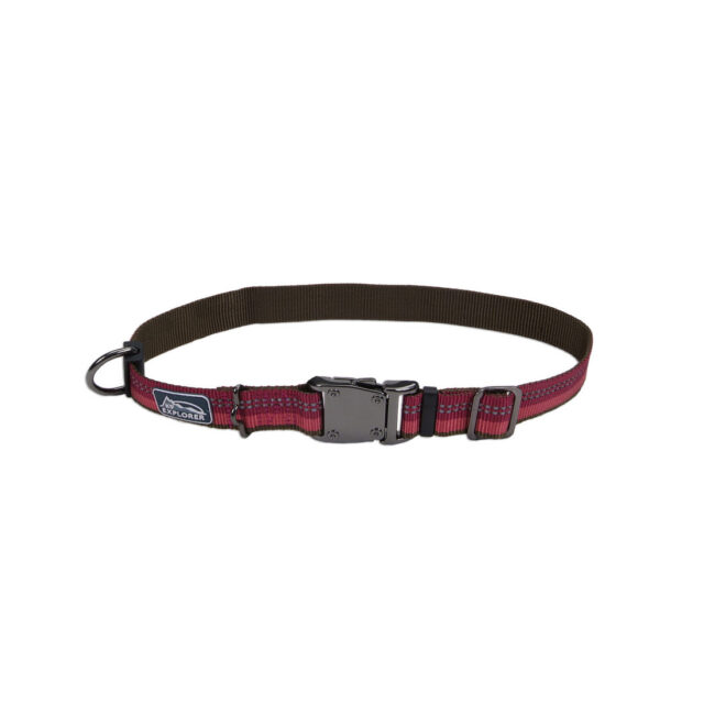 K9 Explorer Collar BRY26"