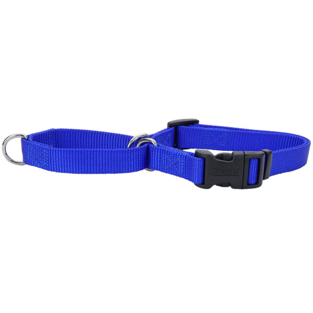 Coastal Martingale Buckle Blu SM