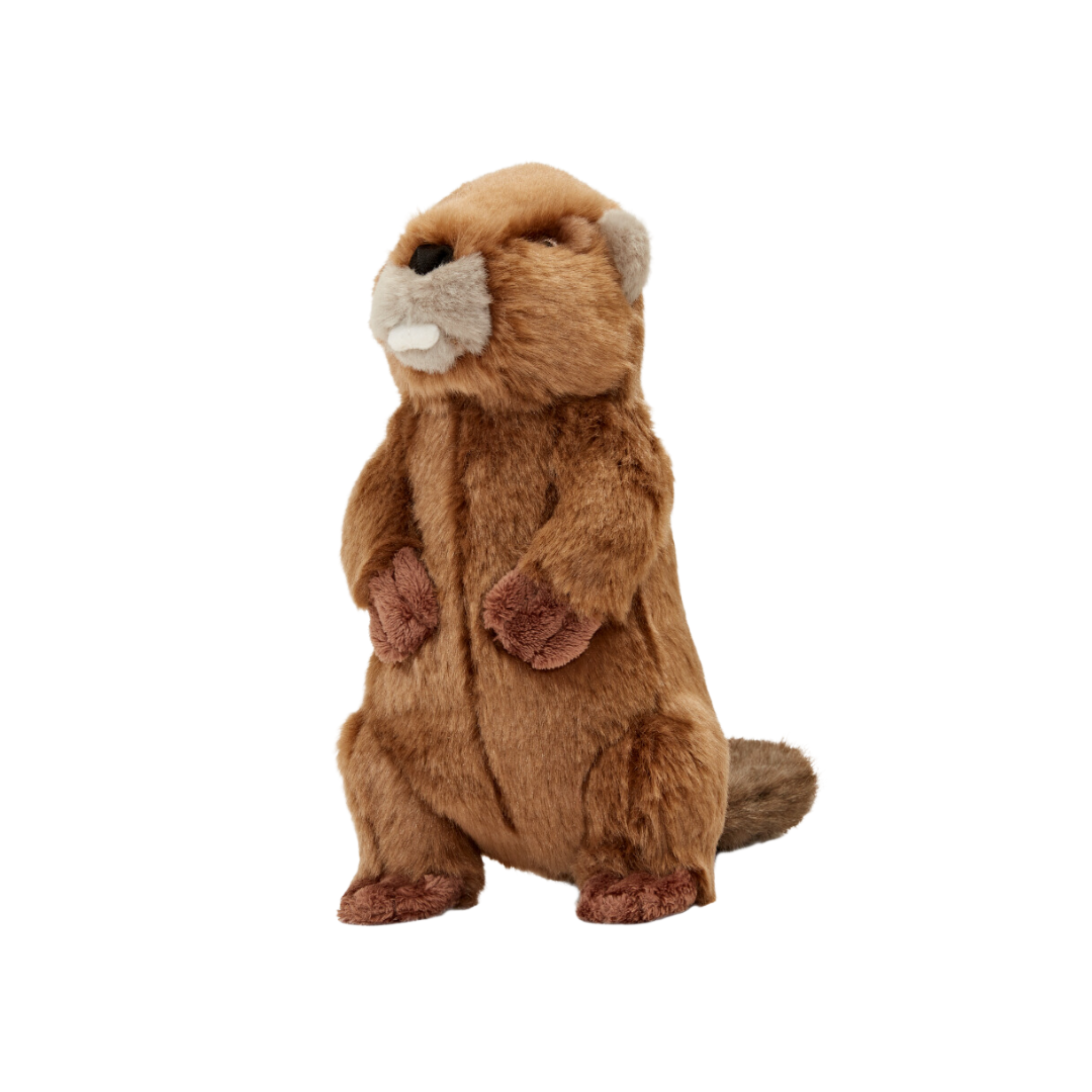 Fluff&Tuff Beaver MD