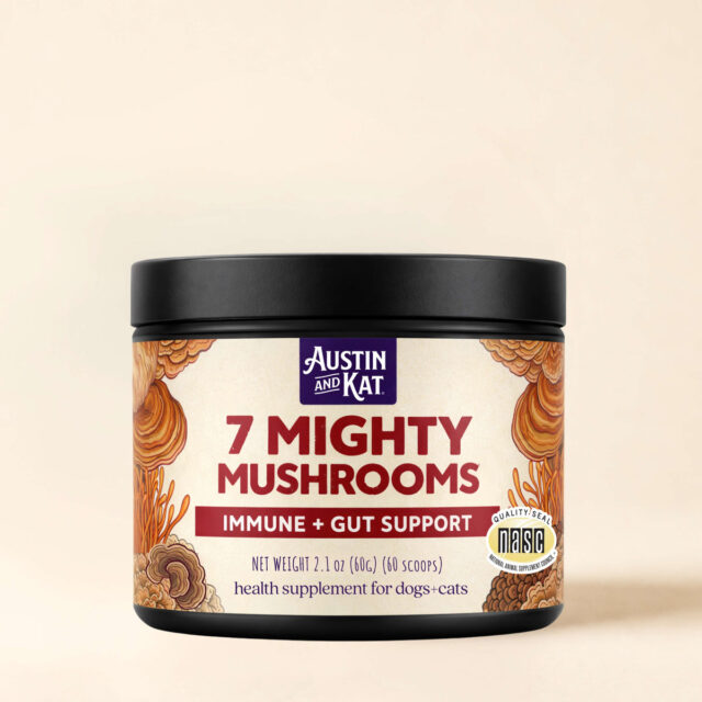 Austin & Kat Mushroom Topper 60G