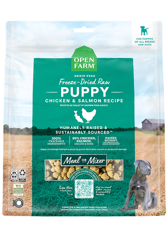 OF FD RWMX Morsels Puppy 13.5