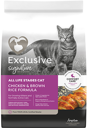 Exclusive Signature ALS Cat Chicken & Brown Rice Formula