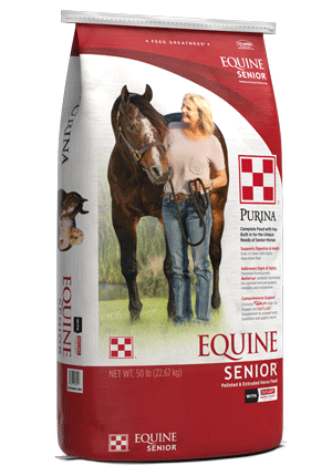 EQUINE SENIOR