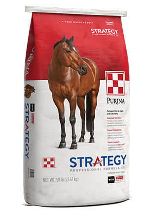 STRATEGY