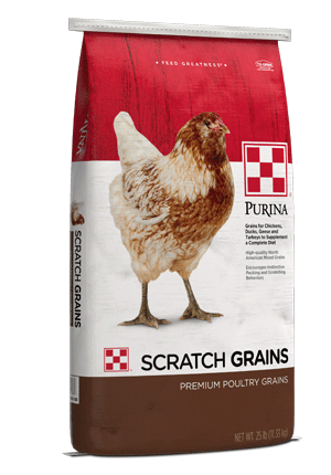 SCRATCH GRAIN