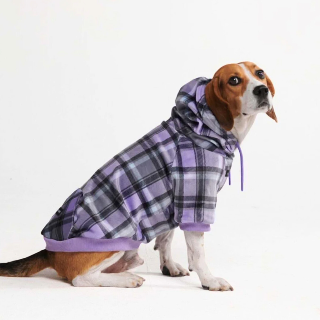 Spark Paws Hoodie PRP Plaid D 3X
