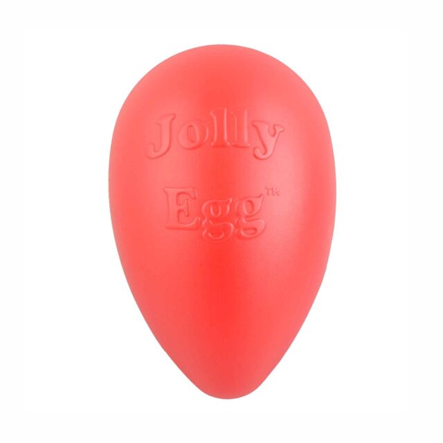Jolly Pet Egg 8"