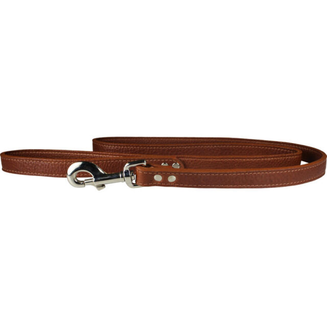 OmniPet Luxe Leather Lsh BRN 6'