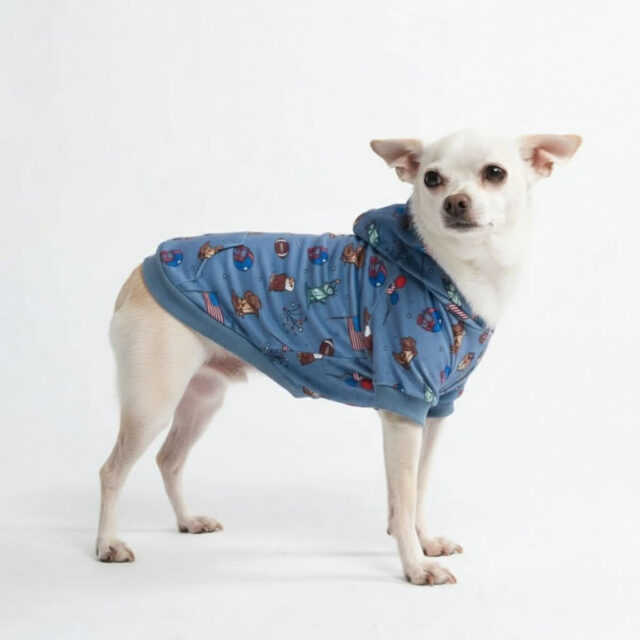 Spark Paws Hoodie BLU D