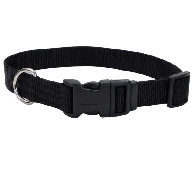 Coastal Buckle Collar BLK 12"