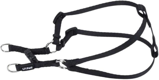 Li'l Pals Harness TGDPXS