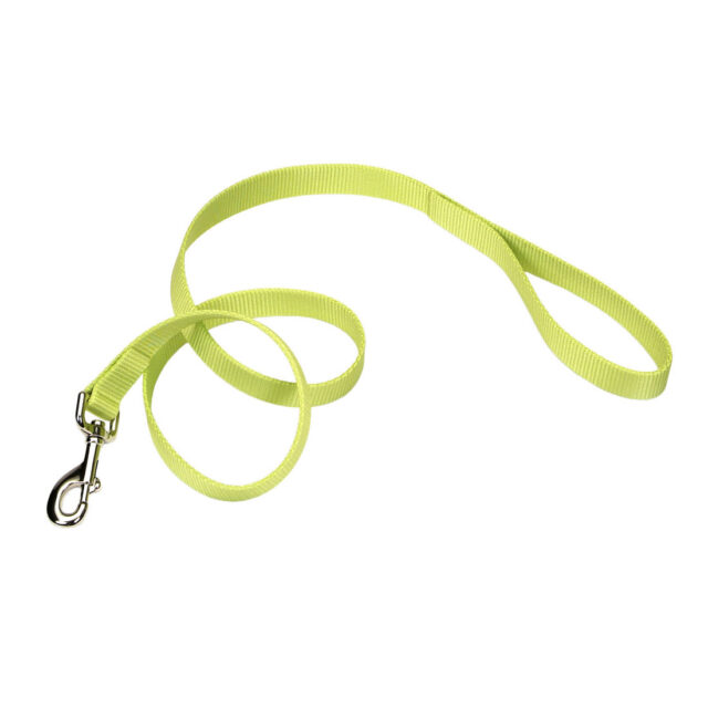 Coastal Leash Single-Ply BLU 4'