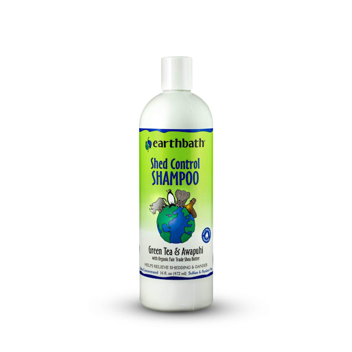 EB Shed Ctrl Shamp Grn Tea 16oz