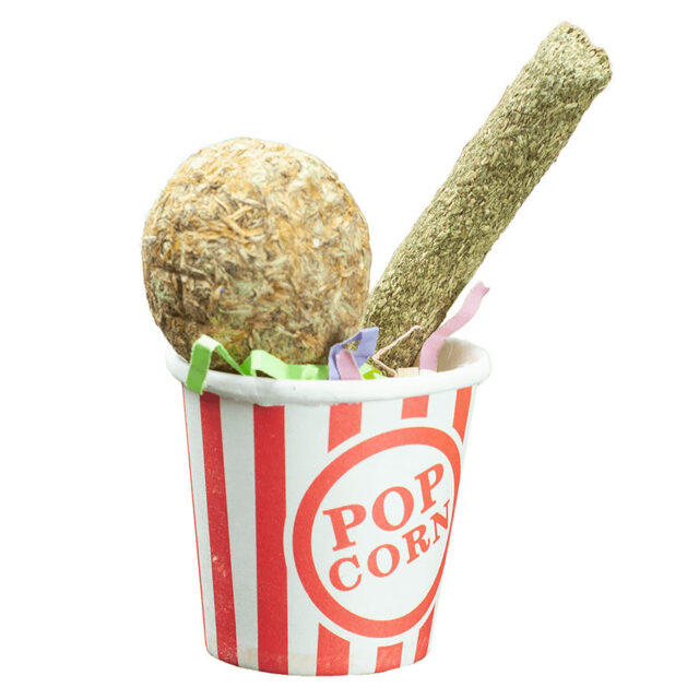 A&E "Nibbles" Barnyard Popcorn