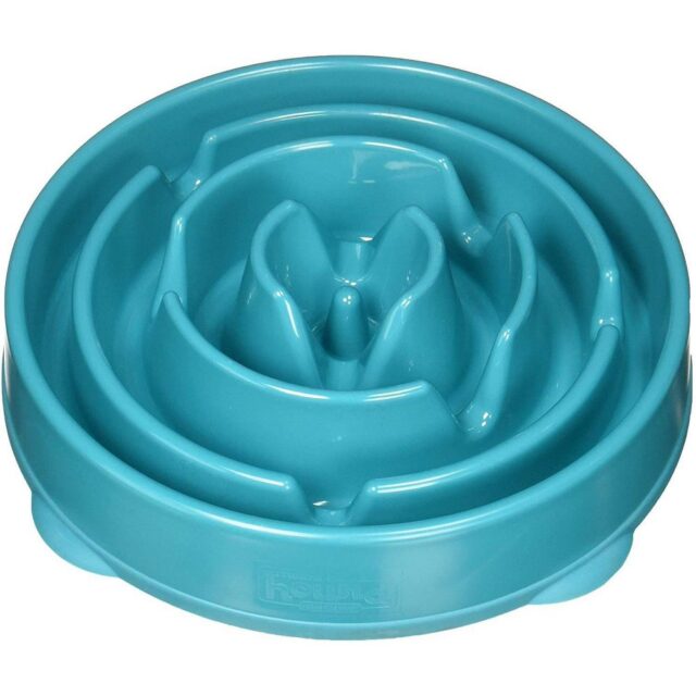 OH Fun Feeder Teal LG