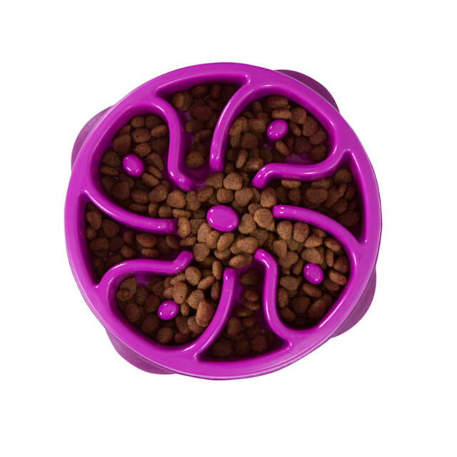 OH Fun Feeder Purple MD/Mini