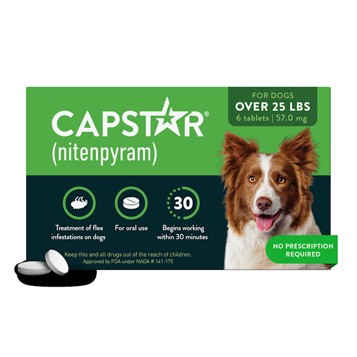 Capstar Flea Pills over 25lbs