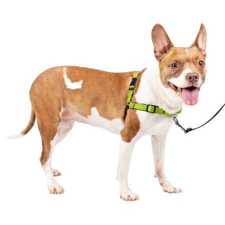 Easy Walk Harness DX Apple MD