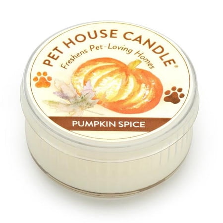 PetHouse Pumpkin Spice Mini