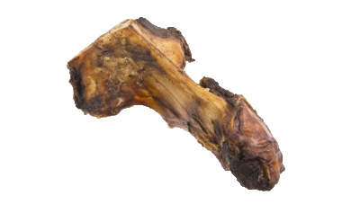 Jones L Bone