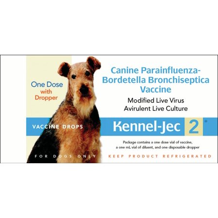 Bordetella Vaccination