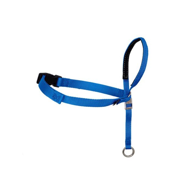 PetSafe Gentle Leader BLU MD