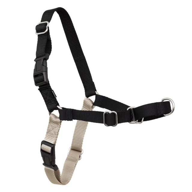 Easy Walk Harness Black XL