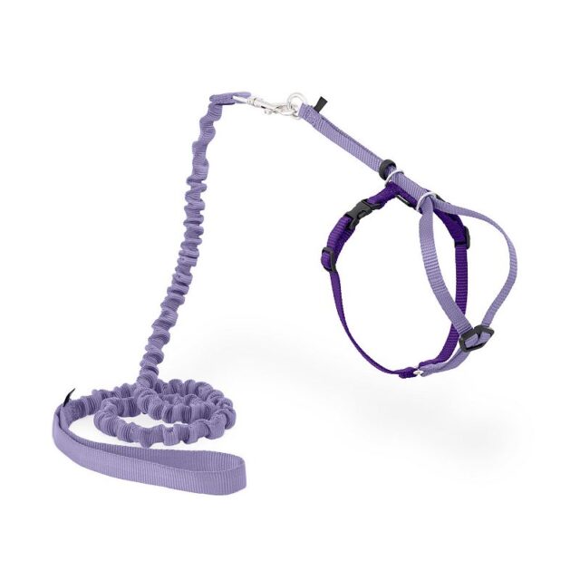 PetSafe Cat Harness/Leash PRP LG